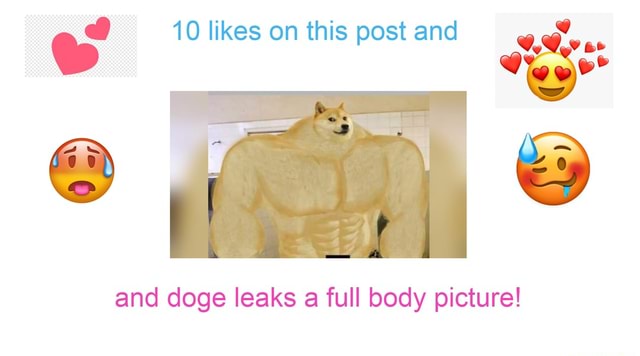 And doge leaks a full body picture! - iFunny