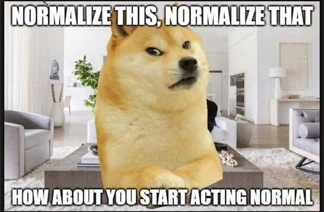 NORMALIZE THIS, NORMALIZE THAT AW ABOTIT START ACTING NORMAL - iFunny