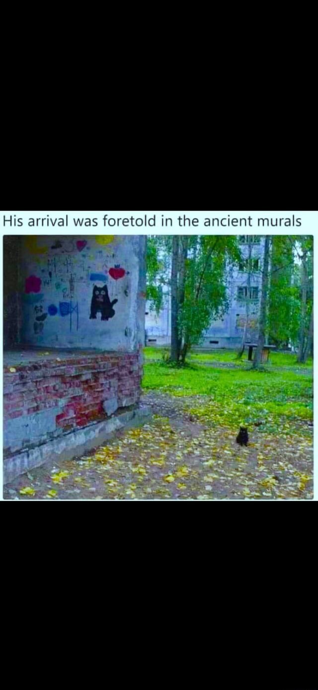 His arrival was foretold in the ancient murals - iFunny