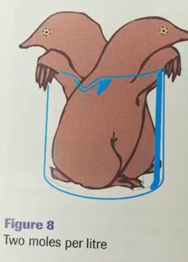 Figure 8 Two Moles Per Litre Figure 8 Two Moles Per Litre