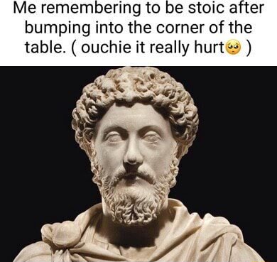 Me remembering to be stoic after bumping into the corner of the table ...