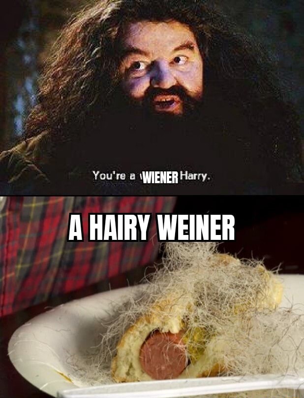 Youre Wiener Harry Poe A Hairy Weiner Ifunny