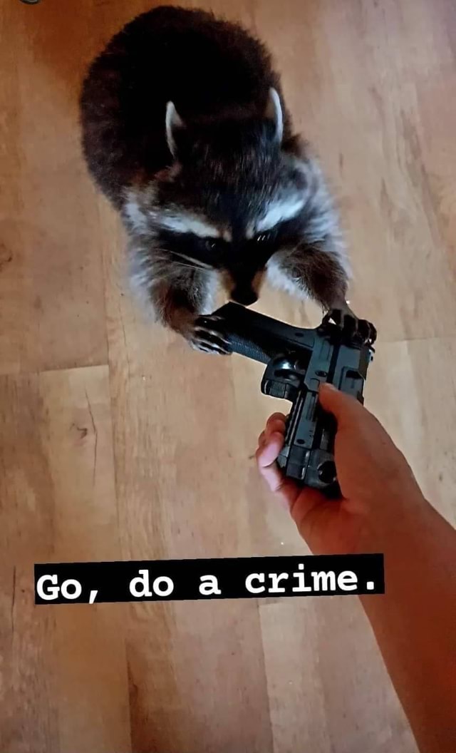 Go, doa crime. iFunny