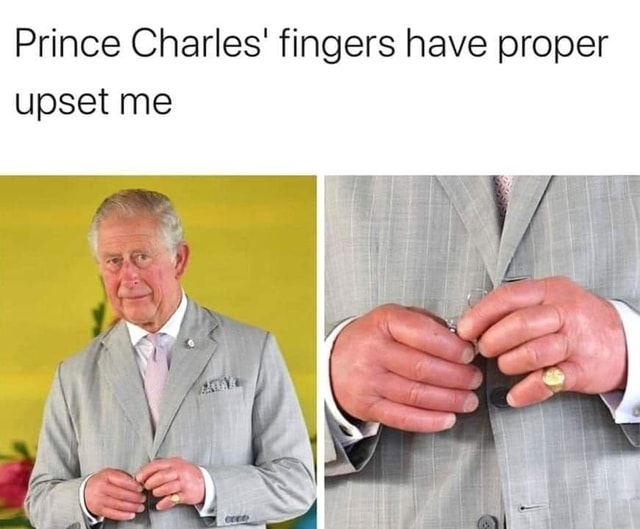 Prince Charles Fingers Have Proper Upset Me Ifunny