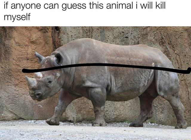 If anyone can guess this animal will kill myself - iFunny