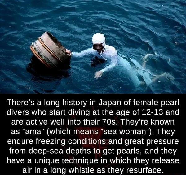 There's a long history in Japan of female pearl divers who start diving