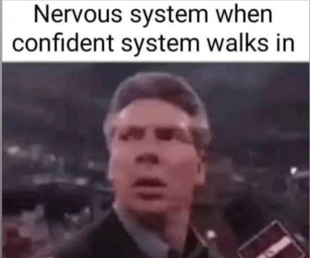 Nervous System When Confident System Walks In Nervous system when confident system walks in - iFunny