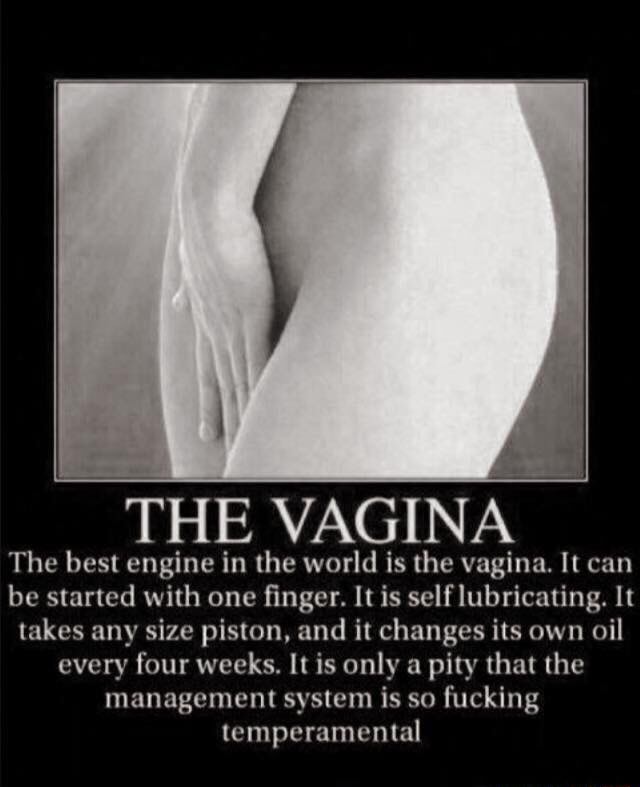 Vagina Engine