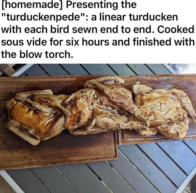 [homemade] Presenting the "turduckenpede" a linear turducken with each