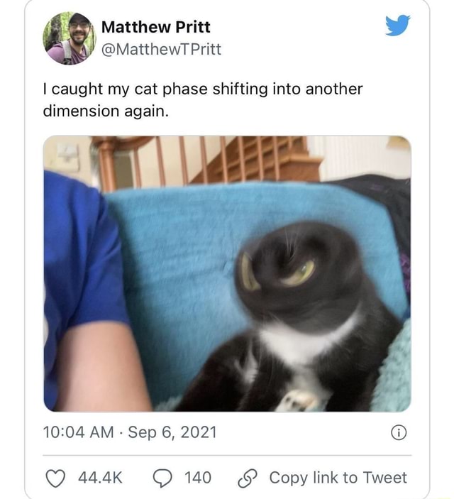 I caught my cat phase shifting into another dimension again. AM Sep 6
