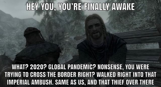 Hey You You Re Finally Awake What Global Pandemic Nonsense You Were Trying To Cross The Border Right Walked Right Into That Imperial Ambush Same As Us And That Thief Over There