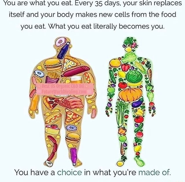 You are wnat you eat. Every 35 days, your skin replaces itself and your ...