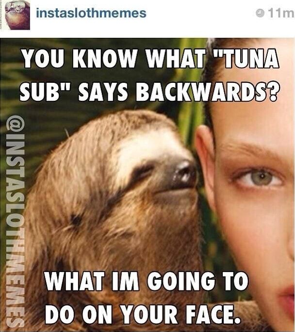 Instaslothmemes YOU KNOW WHAT "TUNA SUB" SAYS BACKWARDS