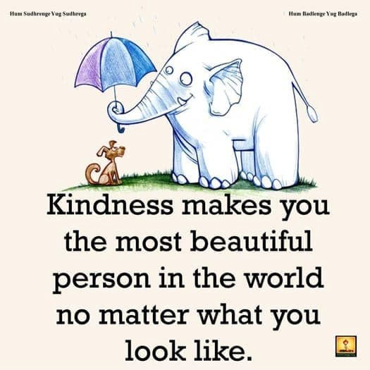 Kindness makes you the most beautiful person in the world no matter ...