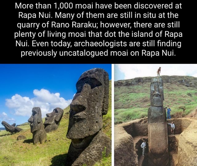 More than 1,000 moai have been discovered at Rapa Nui. Many of them are