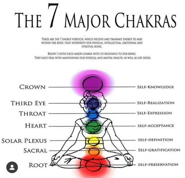 THE MAJOR CHAKRAS THESE ARE THE 7 ENERGY VORTICES. WHICH RECEIVE AND ...