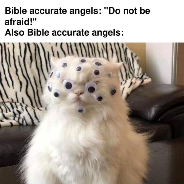 Bible accurate angels: 