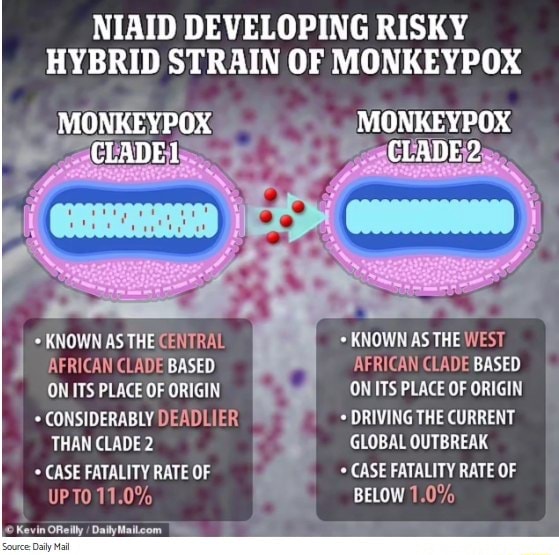 NIAID DEVELOPING RISKY HYBRID STRAIN OF MONKEYPOX MONKEYPOX MONKEYPOX