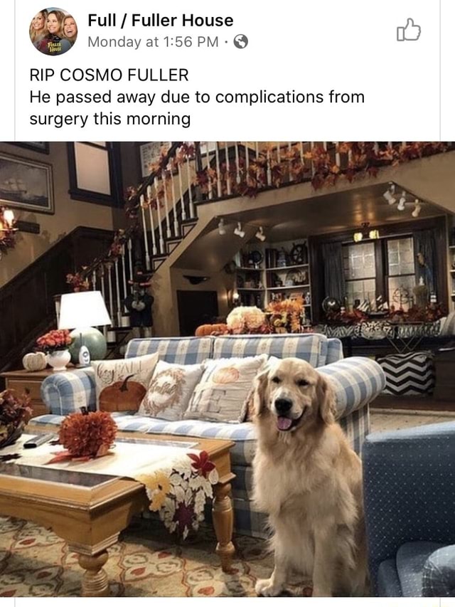 Full / Fuller House Monday at PM RIP COSMO FULLER He passed away due