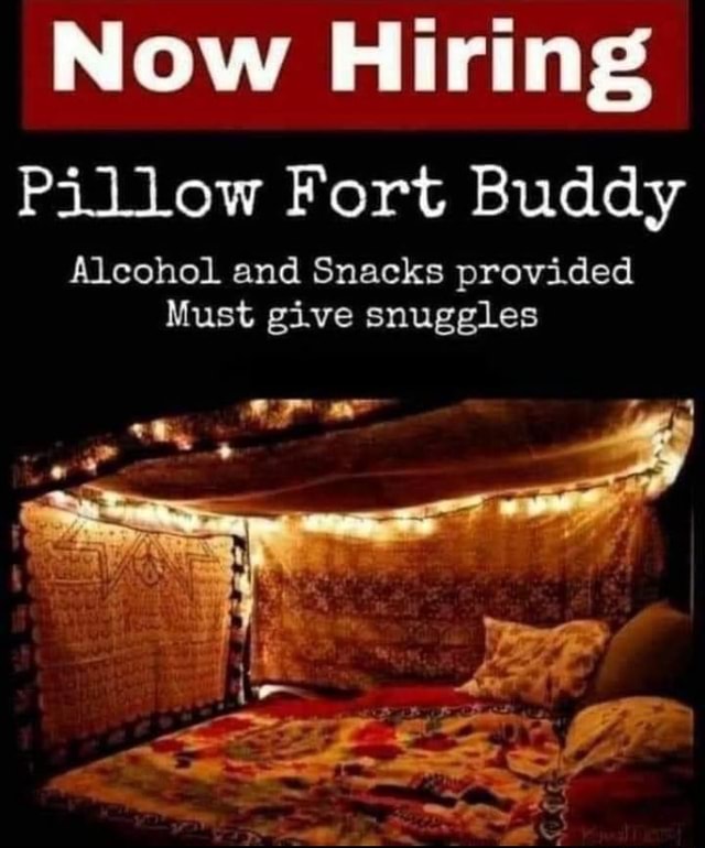 Now Hiring Pillow Fort Buddy Alcohol and Snacks provided Must give snuggles iFunny