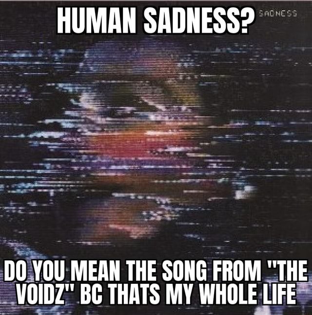 human-sadness-do-you-mean-the-song-from-the-voidz-bc-thats-my-whole