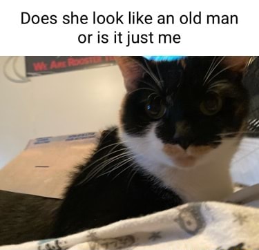 Does she look like an old man or is it just me - iFunny