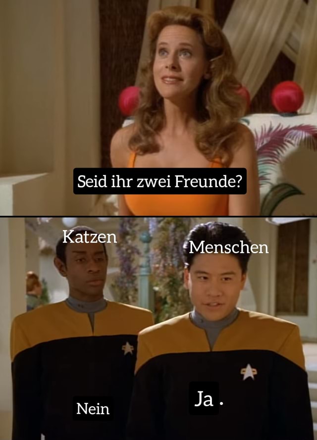 Seid Ihr Zwei Freunde Katzen Menschen Ja Nein Keke