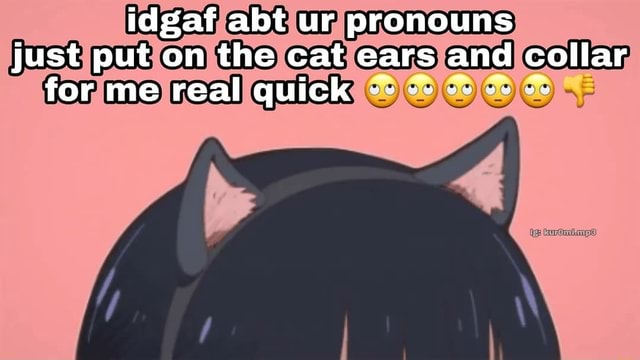 Idgaf abt ur pronouns just put on the cat ears and collar for me real ...