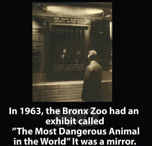 THE In 1963, the Bronx Zoo had an exhibit called "The Most Dangerous