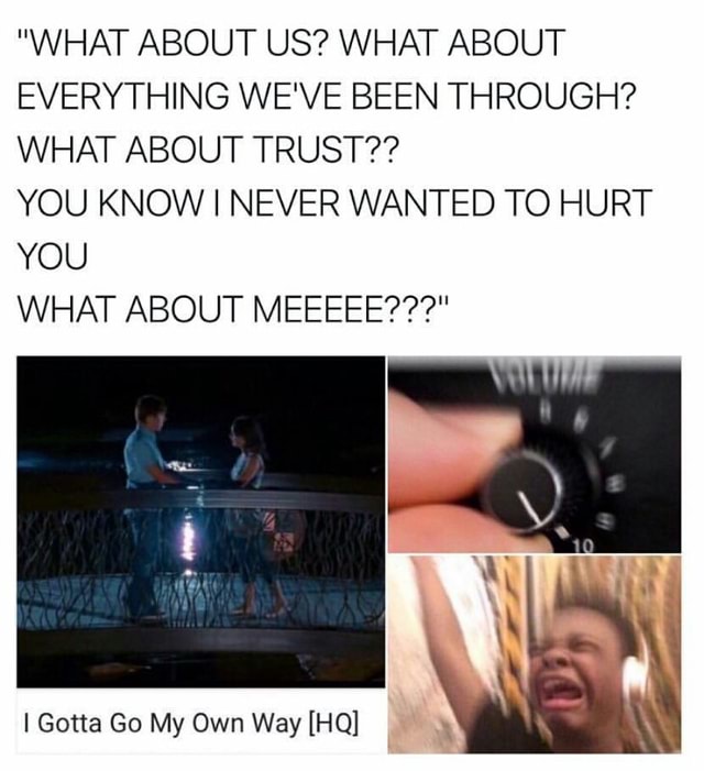 What About Us What About Everything We Ve Been Through What About Trust You Know I Never Wanted To Hurt You What About Meeeee I Gotta Go My Own Way Hq Ifunny