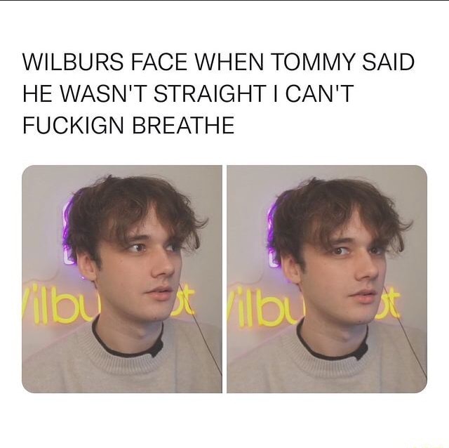 Wilburs Face When Tommy Said He Wasnt Straight I Cant Fuckign Breathe Ifunny