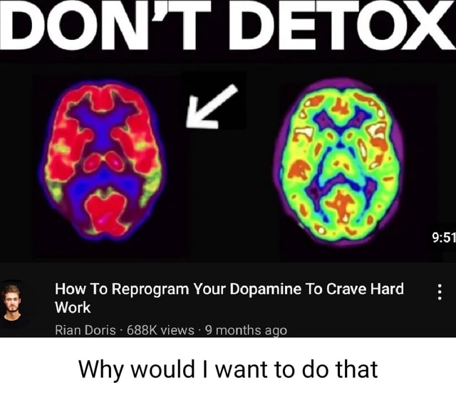 Don T Detox How To Reprogram Your Dopamine To Crave Hard Work Rian