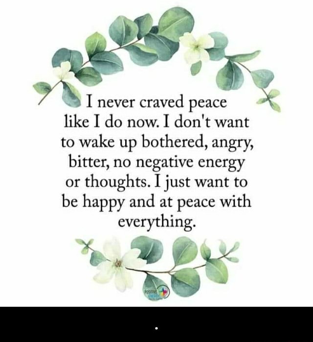 Never Craved Peace X Like I Do Now I Don T Want To Wake Up Bothered Angry Bitter No Negative Energy Or Thoughts I Just Want To Be Happy And At Peace With