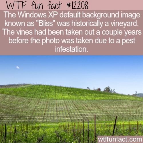 WTF fun fact 12208 The Windows XP default background image known as