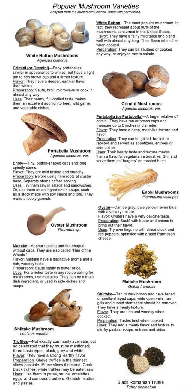 Popular Mushroom Varieties Adapted from the Mushroom Council. Used with