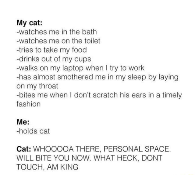 My cat «watches me in the bath watches me on the toilet tries to