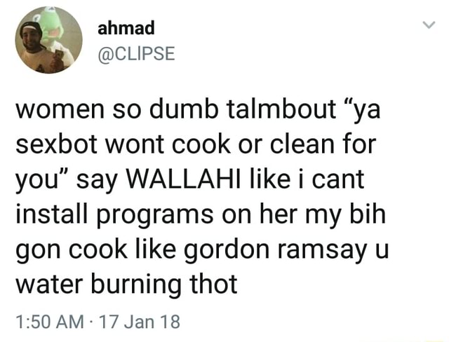 women-so-dumb-talmbout-ya-sexbot-wont-cook-or-clean-for-you-say