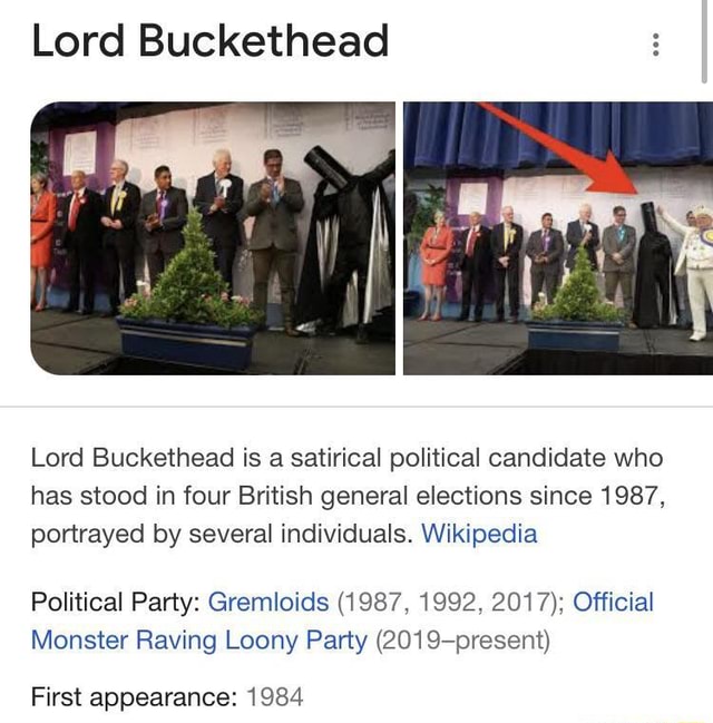 Lord Buckethead Lord Buckethead is a satirical political candidate who