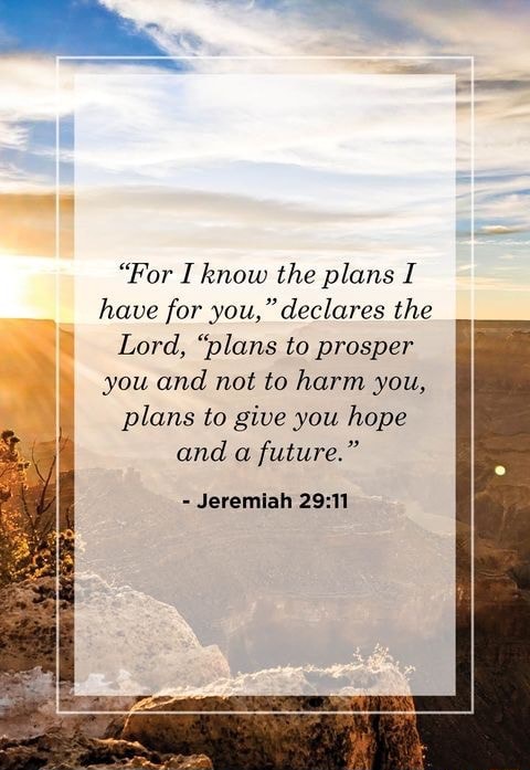 for-i-know-the-plans-i-have-for-you-declares-the-lord-plans-to