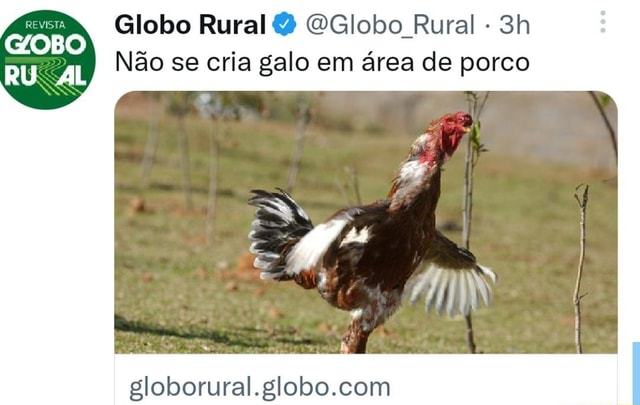 Globo Rural (@GloboRural) / X