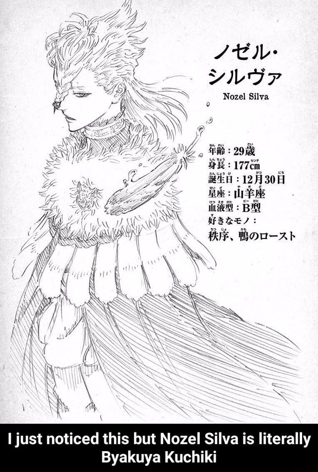 I Just Noticed This But Nozel Silva Is Literally Byakuya Kuchiki