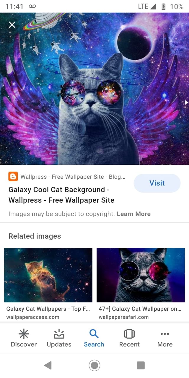 Cool Cat Wallpapers 71 images