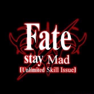 Fate stay Mad Skill Issue] - iFunny