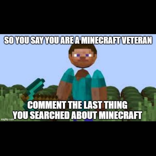 YOU SAY YOU ARE A MINECRAFT WETERAN COMMENT THE LAST THING YOU SEARCHED  ABOUT MINECRAFT - iFunny