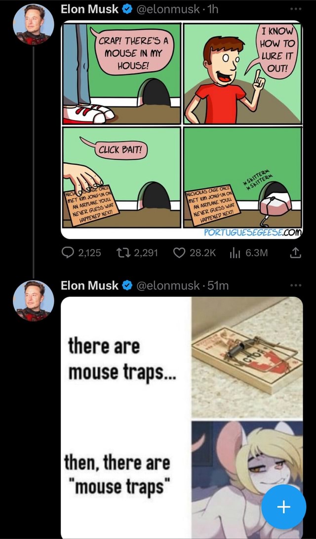 Elon Musk @ @elonm CRAP! THERE'S A MOUSE IN MY HOUSE! 28.2K Elon Musk ...