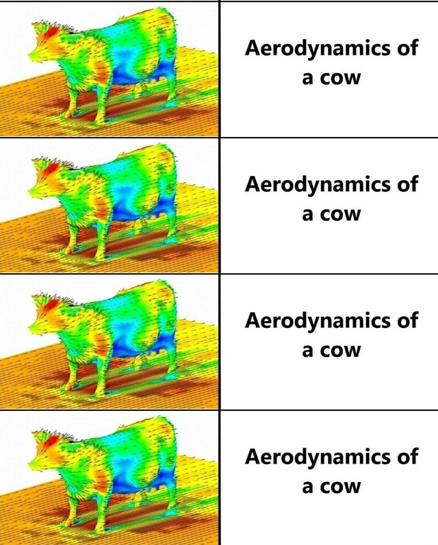 Aerodynamics of a cow Aerodynamics of a cow Aerodynamics of a cow