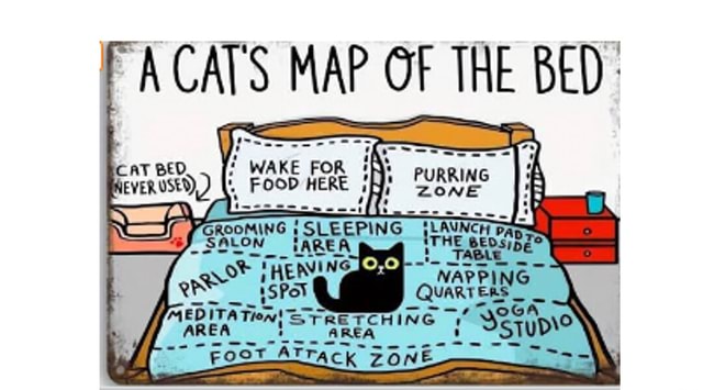 A cats map of the bed - 