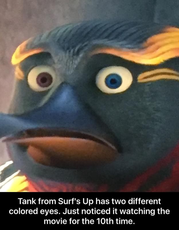 Tank From Surf S Up Has Two Different Colored Eyes Just Noticed It Watching The Movie For The 10th Time Tank From Surf S Up Has Two Different Colored Eyes Just Noticed It