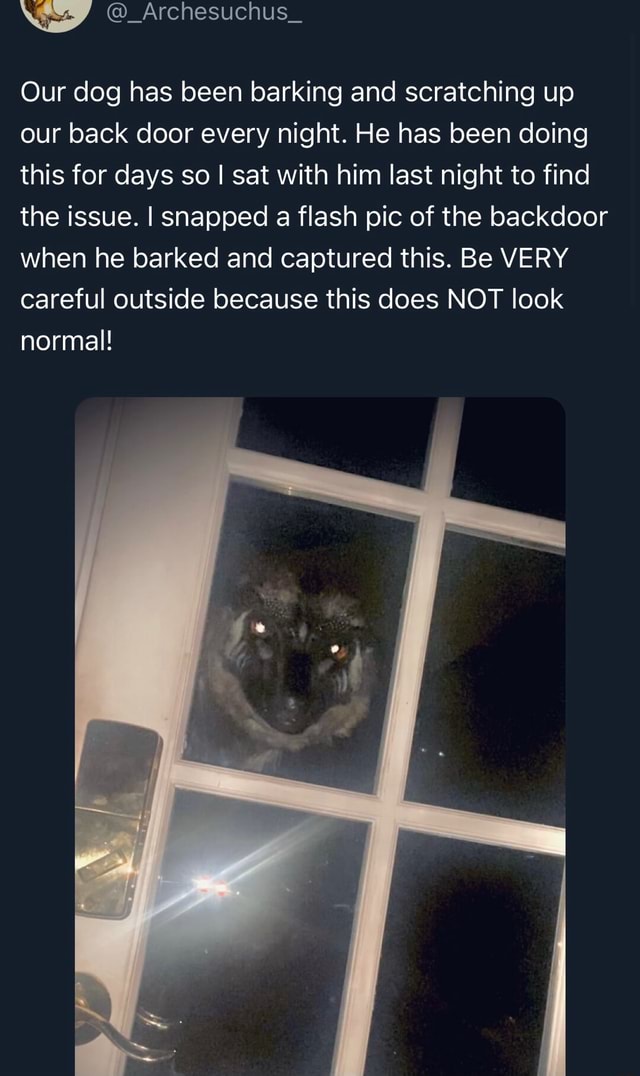 Our dog has been barking and scratching up our back door every night