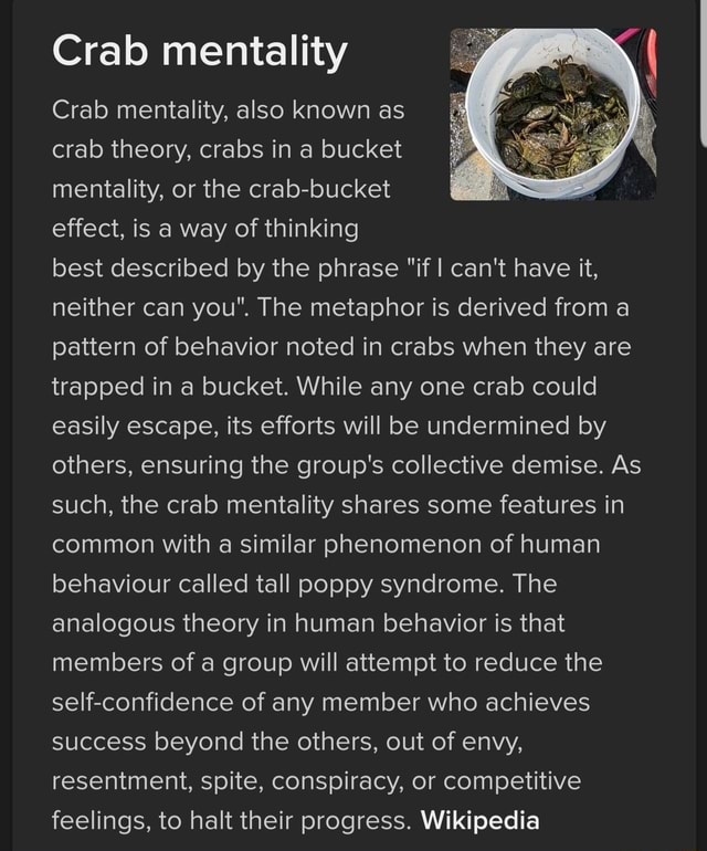 Crab mentality Crab mentality, also known as crab theory, crabs in a